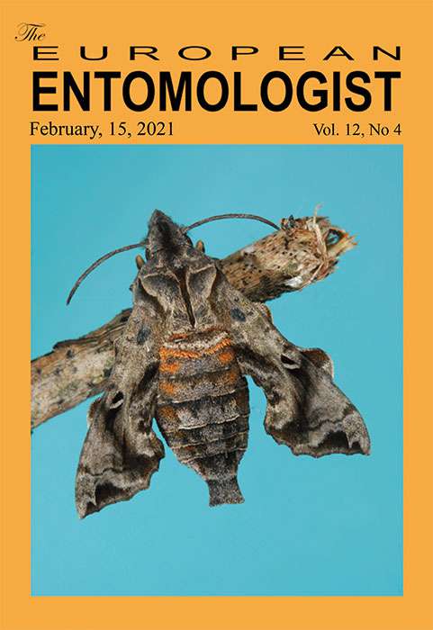 The European Entomologist Vol. 12, No 4 front page